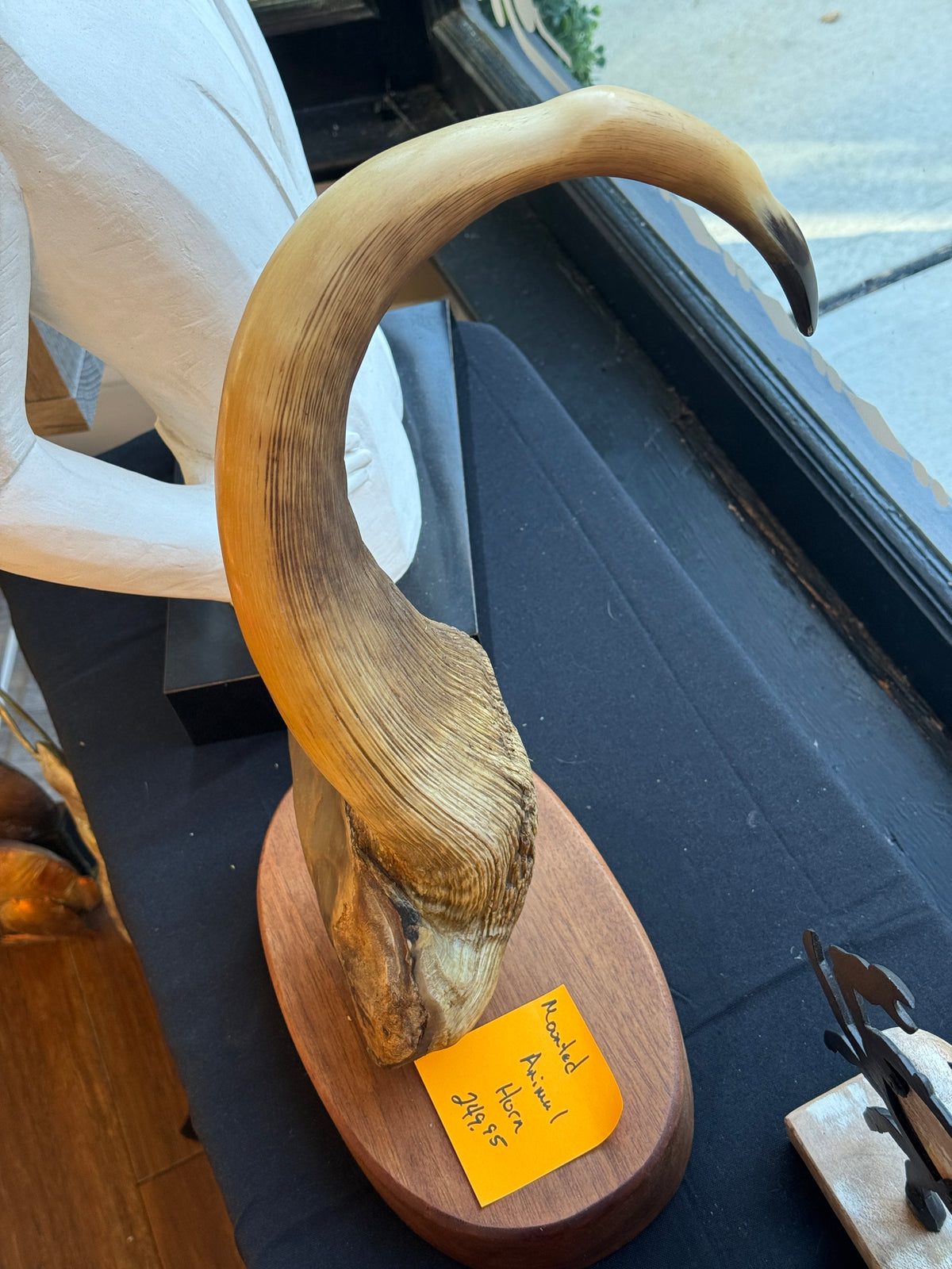 Mounted Animal Horn